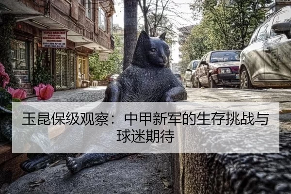 玉昆保级观察：中甲新军的生存挑战与球迷期待